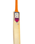 CBC Bat B
