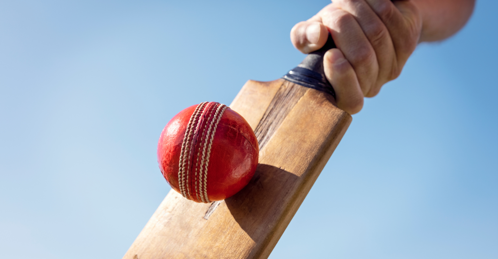 Find Your Cricketing Companion: Navigating the World of Cricket Bats